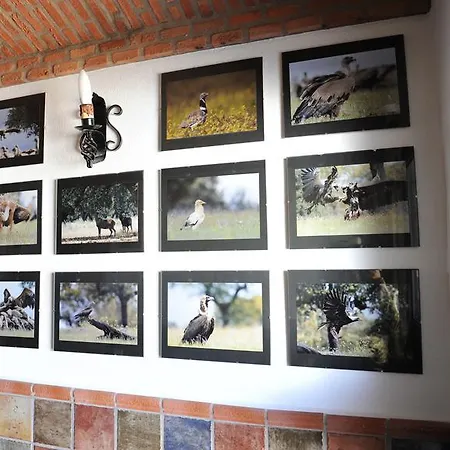 Rurales Monfraguee Appartement *