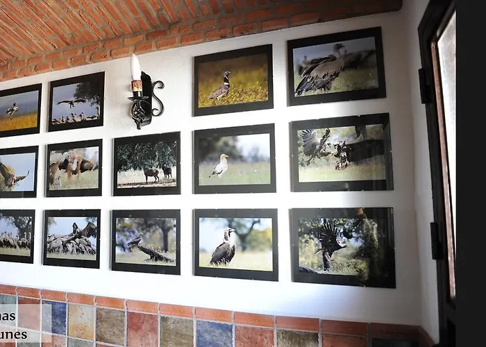 Rurales Monfragüe Apartamento *